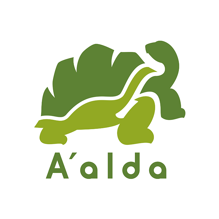 Aʼalda Japan株式会社