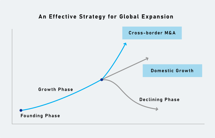 An Effective Strategy for Global Expansion