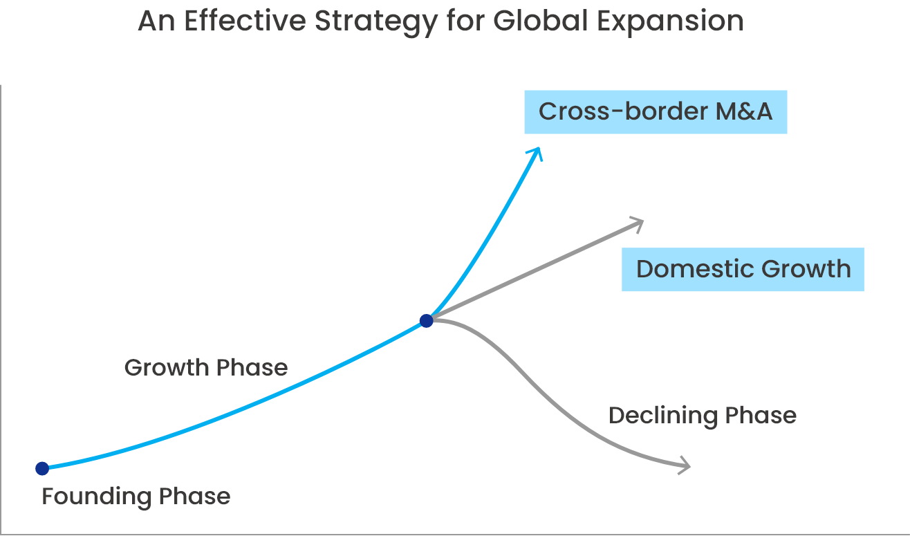 An Effective Strategy for Global Expansion